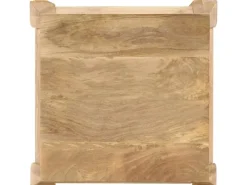 vidaXL Beistelltisch 45 x 45 x 40 cm Mangoholz Massiv