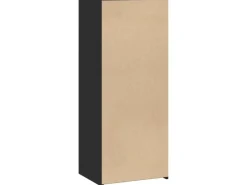 Online vidaXL Highboard 50x41x124 cm Holzwerkstoff 846398 Schwarz