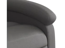 vidaXL Massagesessel Elektrisch Grau Echtleder