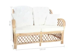 vidaXL 2-Sitzer-Sofa Rattan