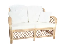 vidaXL 2-Sitzer-Sofa Rattan
