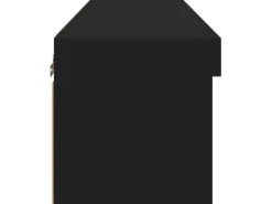 vidaXL TV-Schrank mit LED-Leuchten Schwarz 80x30x30 cm