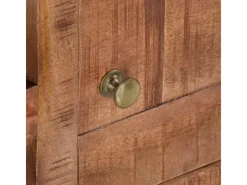 vidaXL TV-Schrank 110x30x40 cm Raues Mangoholz Modell 1