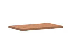 Clearance vidaXL Waschtischplatte 100x60x4 cm Massivholz Buche