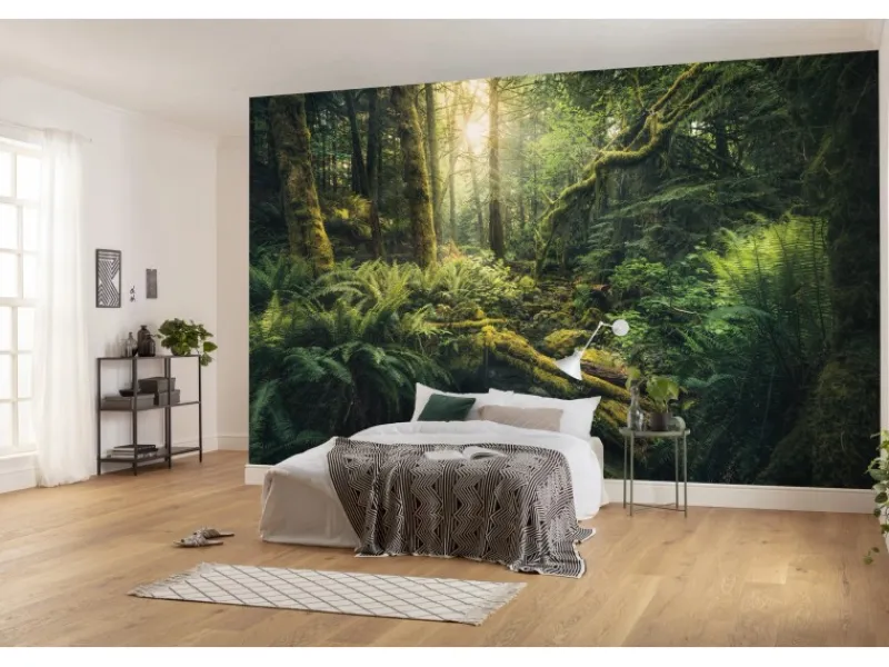 Komar Vlies Fototapete Elves Cathedral 450x280 cm