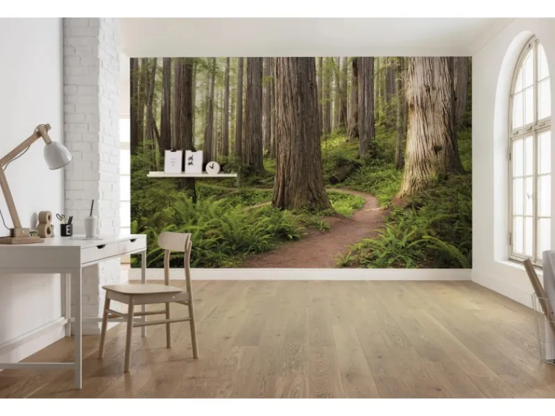 Komar Vlies Fototapete Redwood Trail 450x280 cm