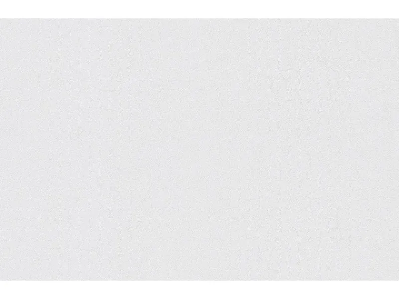 Erfurt Vliesfaser Basic 106