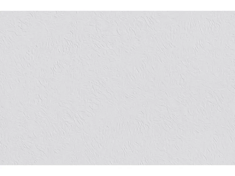 Erfurt Vliesfaser Basic 100