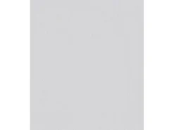 Erfurt Vliesfaser Ready 305