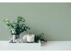 AS-Creation Vliestapete Uni Matt Leicht Strukturiert Grün FSC®