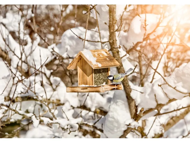 New Windhager Vogelfuttersilo Garden