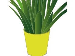 Best Wagner design yourself Wagner Topffüße Set Selbstklebend Transparent Ø 13 mm