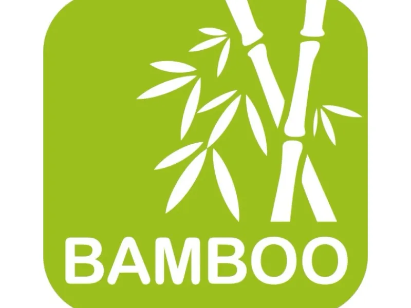 Wenko Toilettenpapierhalter mit Ablage Bambusa Bambus